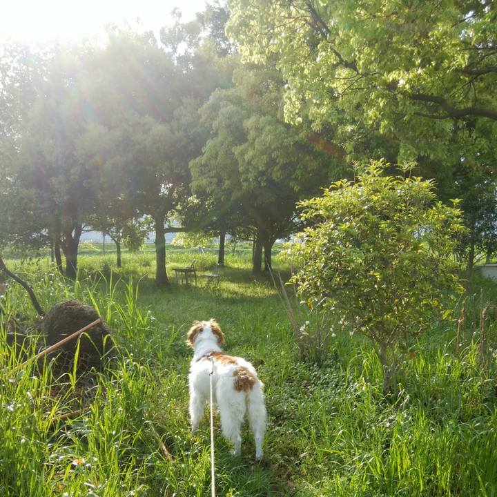 8b0537cc 1d7a 4e99 ae9d 078e09e9ecbd 1556756863156