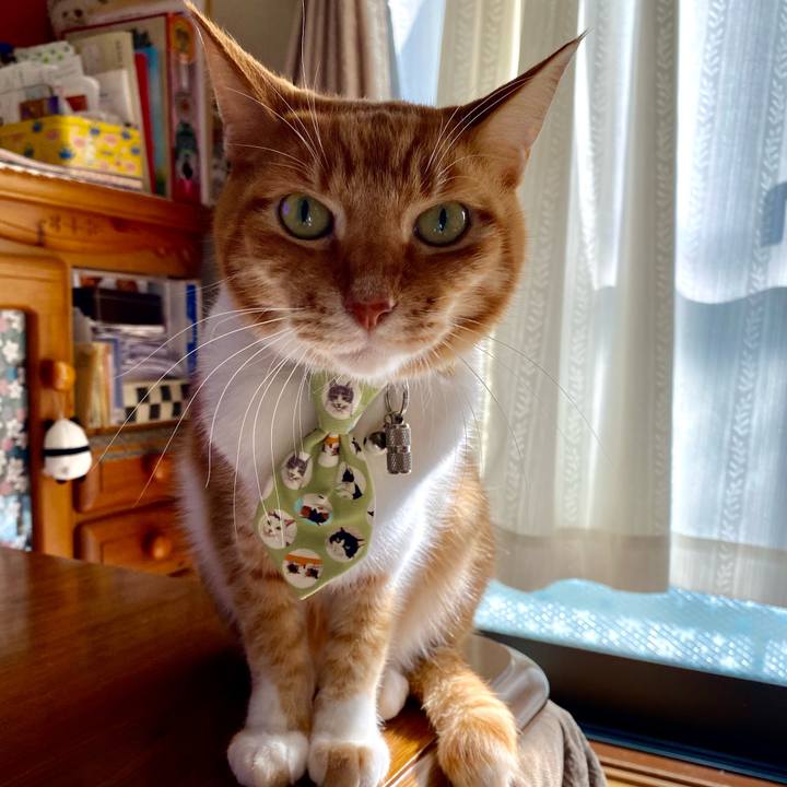 8b05458a d3cf 41d2 a808 bbae5ed409f3 1772884708413