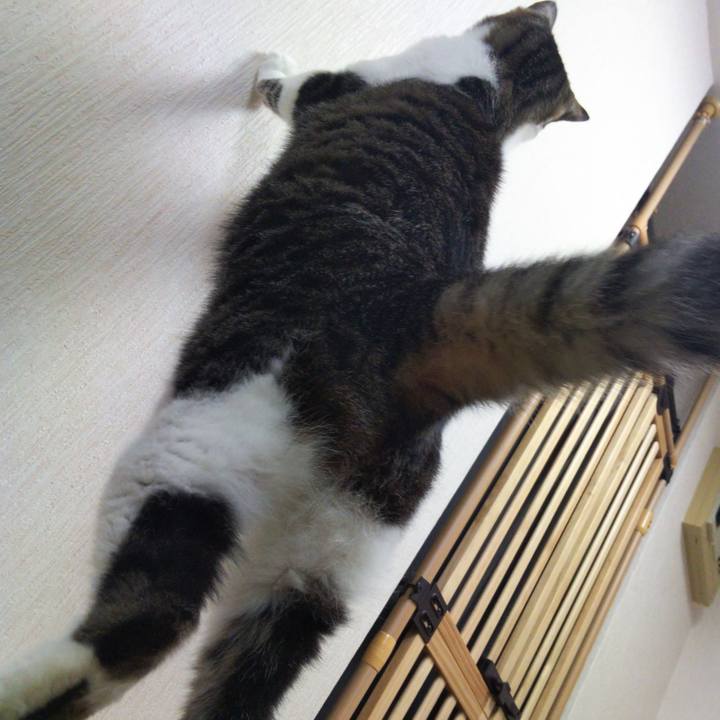 8b0545c0 d40b 4740 ab6f 27eb1c111ca8 1651239305600