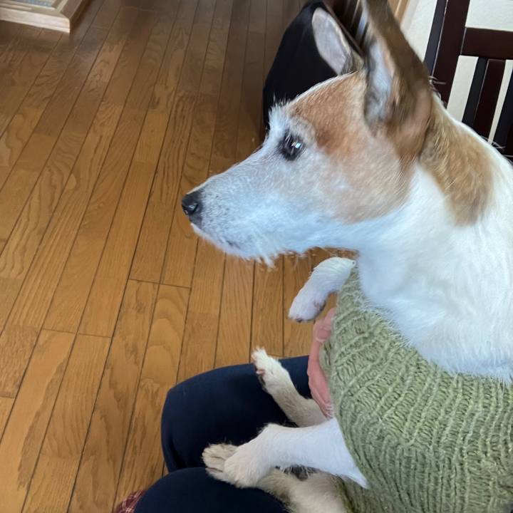 8b0559ca f83a 4ed5 81fe e1f95ba48761 1706743782462