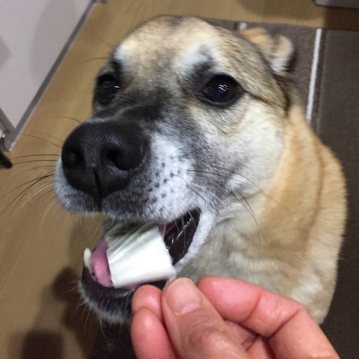 8b055a52 b4c6 4273 a521 9b3e832130d3 1516956499011