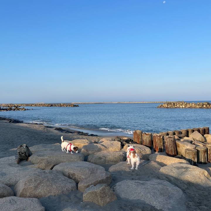 8b057628 6f82 4f16 af92 a326d5c9c937 1668211335620