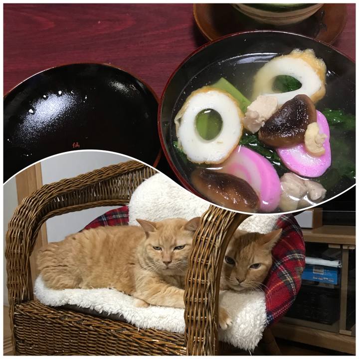 8b0576a6 71b1 4333 9211 8e85093288e4 1610709936930