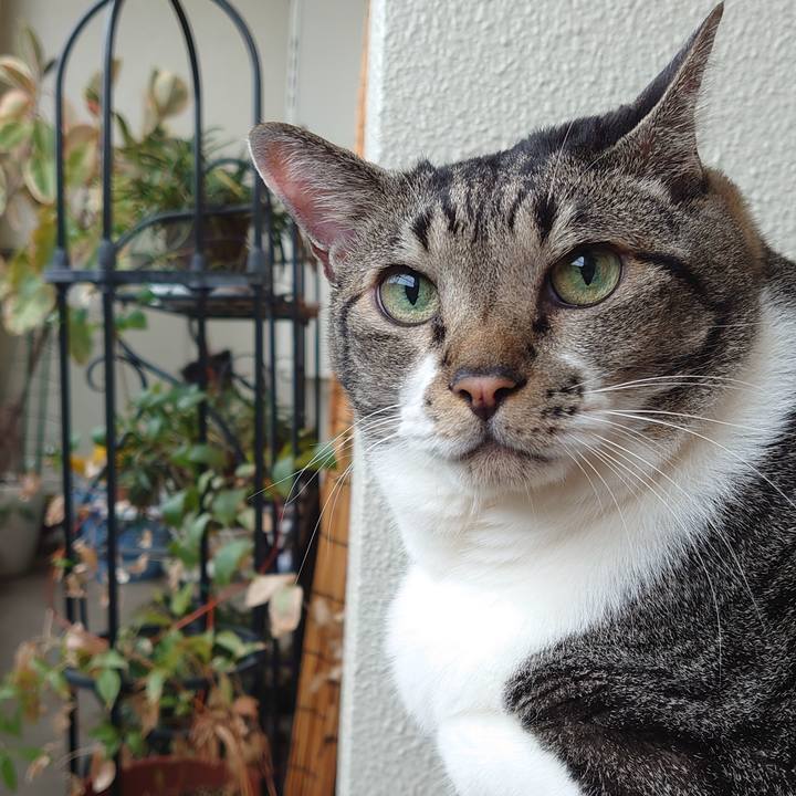 8b058b32 cf7a 42e5 91a0 a6a3e916bd6a 1630716557101