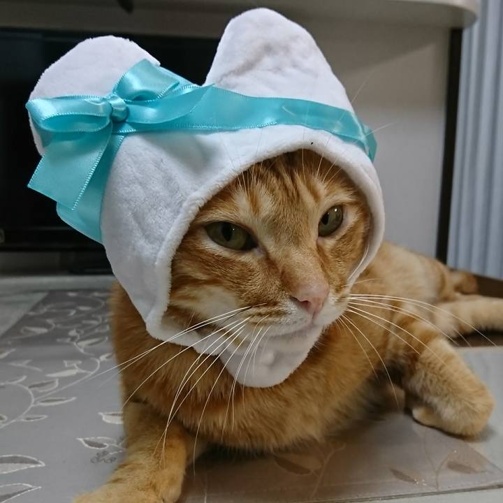 8b05997c 9364 4e08 a260 fce17625dff8 1517144505952