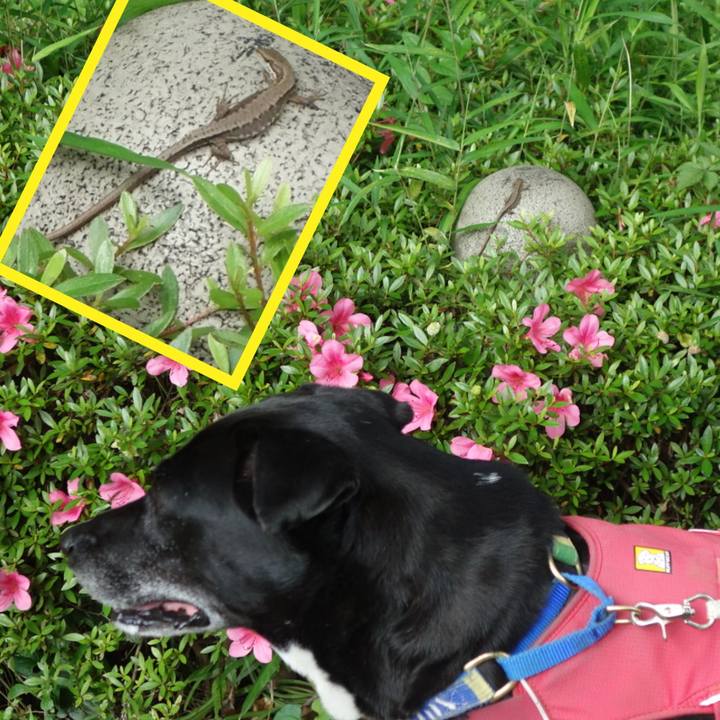 8b05aafc 25fb 4eb9 a28b db572c430d82 1684753478594