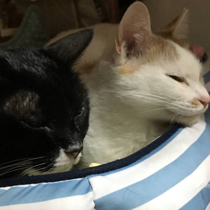 8b05af52 ffd5 4635 8af8 f45b121730e6 1542968293412