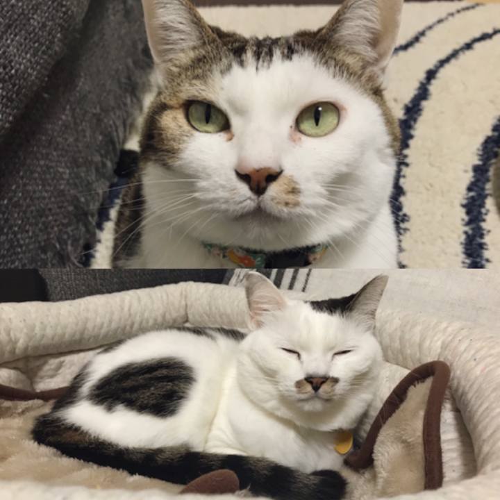 8b05c935 f5eb 4e9a a084 314a1e730b56 1546221434711