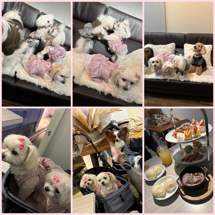 8b05fa47 ac18 4825 b59c 664804646f23 1735385249911