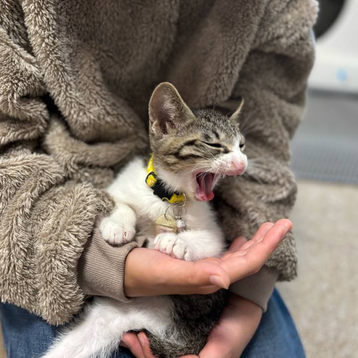 8b0610ea 1b2c 4cf6 99e1 da947ce5882f 1766924654710