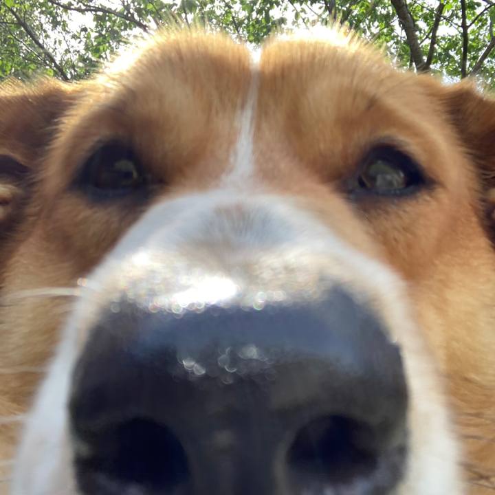 8b063122 9f3e 40b7 bff2 a33cbdf81c43 1655564400630