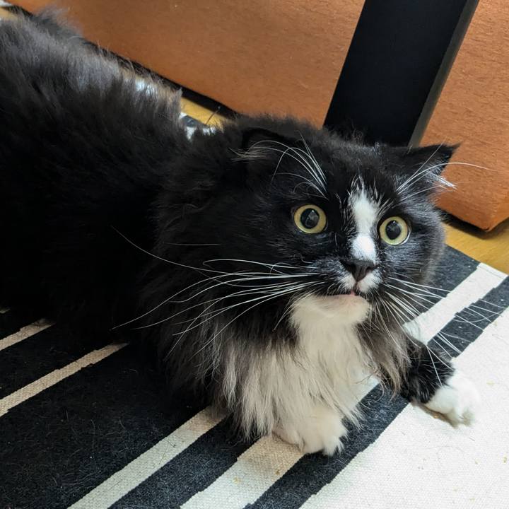 8b06589f 88a2 4e7c 900a bfa43297881f 1723788272157