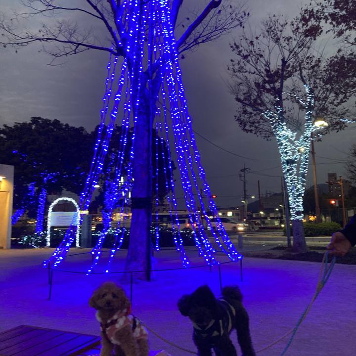 8b065fcb 8331 48f6 9217 15c7630b6a14 1640066436352