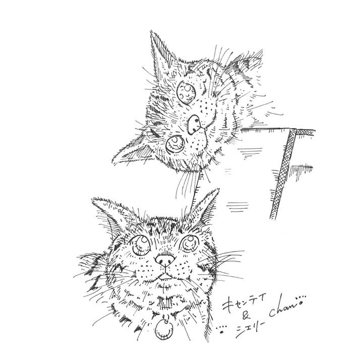 8b067eb3 901d 4ae6 9604 719824fa53f3 1583007020131