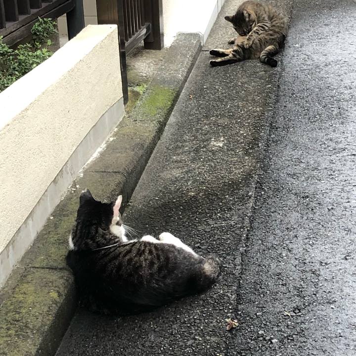 8b0692e3 c0a7 4186 92f8 529b2945bba5 1563707437987