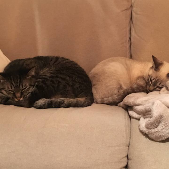 8b069910 d7ab 424a 961d 5fe7af93550f 1545385801663