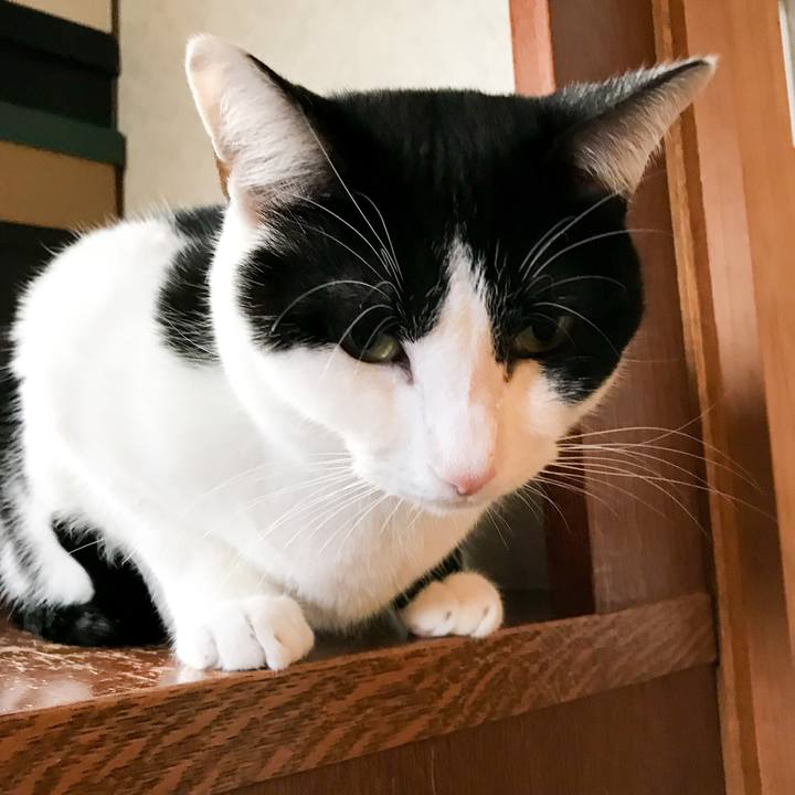 8b06b014 8a0d 43e5 9e15 5883a94ca2c7 1516938469728