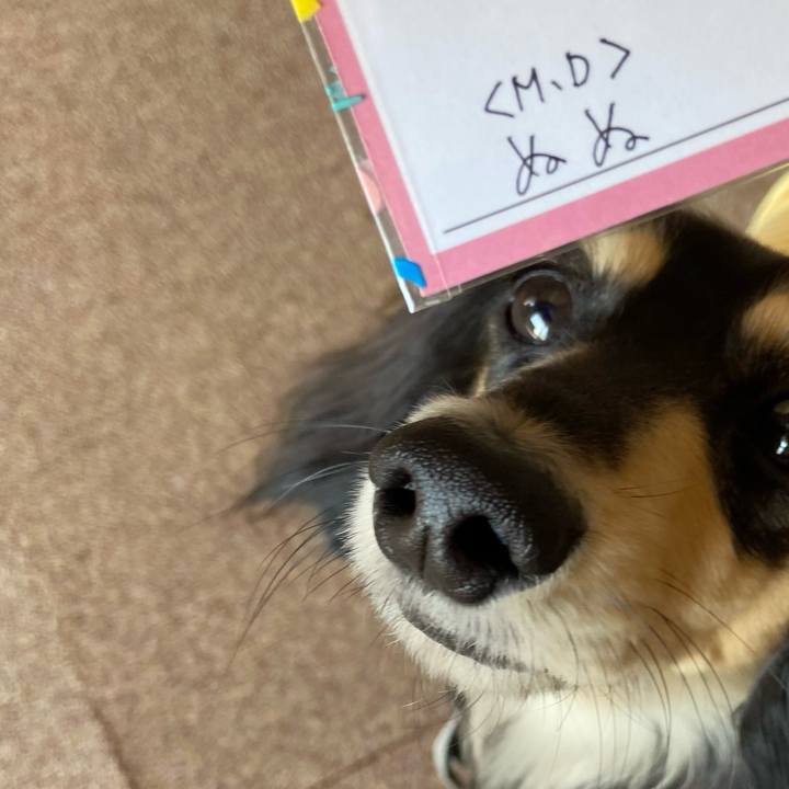 8b06b13e fa2b 4301 b8bd e24ef235dea7 1710377663952