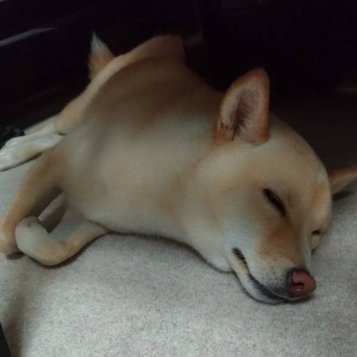 8b06bb54 5664 4120 b4aa 6f0047d96ed5 1533039169425