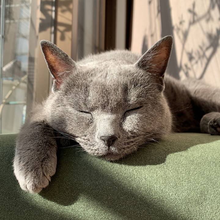 8b075d08 80f9 4974 abe1 05c897e9eb7c 1641689687991