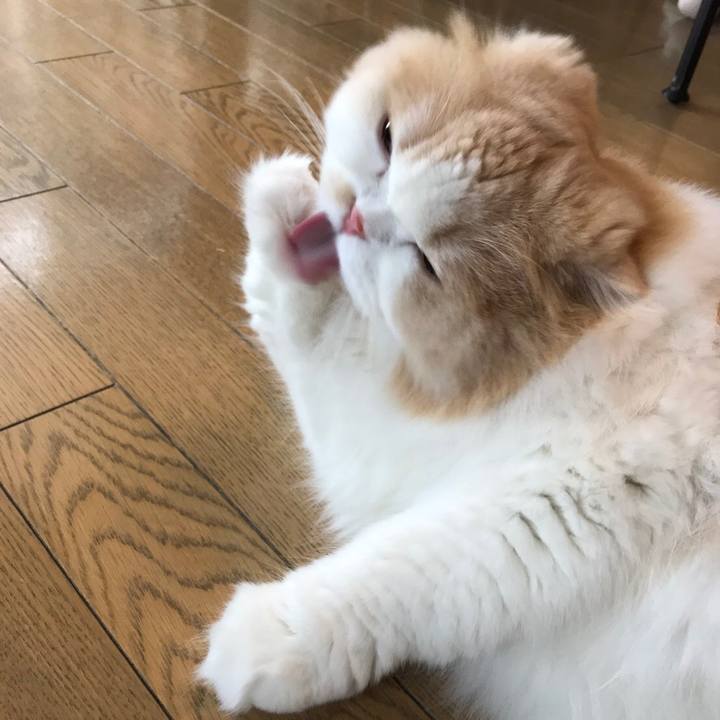 8b07b80f 2692 41a9 8408 8175deee45ef 1556660076625