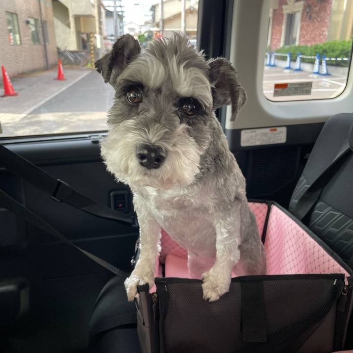 8b07fa60 f124 440a ba7e df9e8757f00e 1653693550819