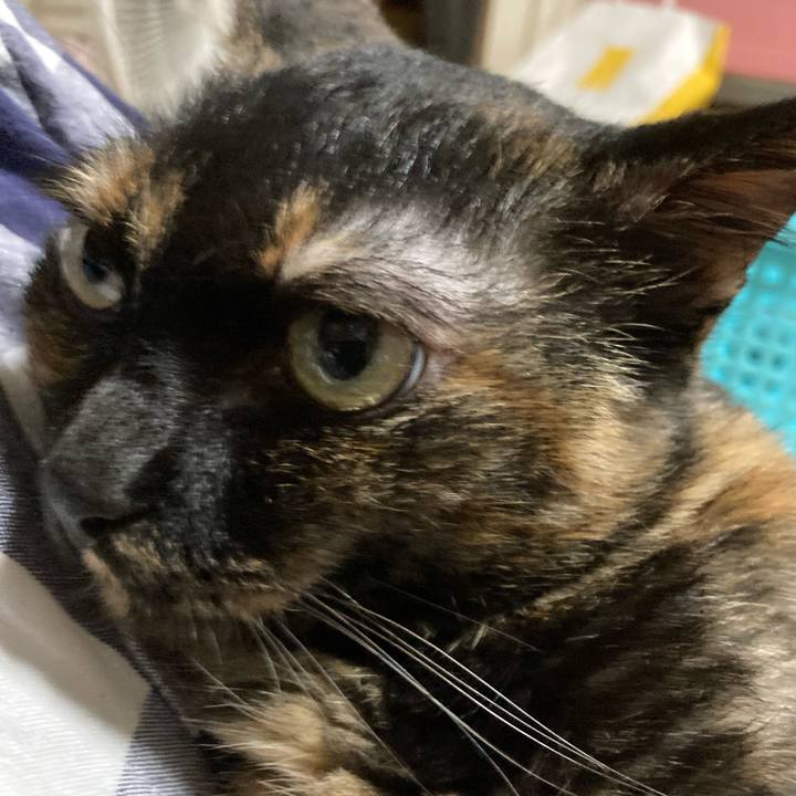 8b080800 3d49 49de 8e15 69e88f878ca5 1664189361332