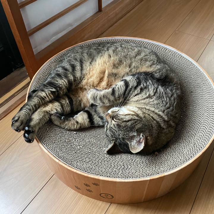 8b0850c3 a2ea 4f93 b2b5 4dfc0f7be01f 1651654453569