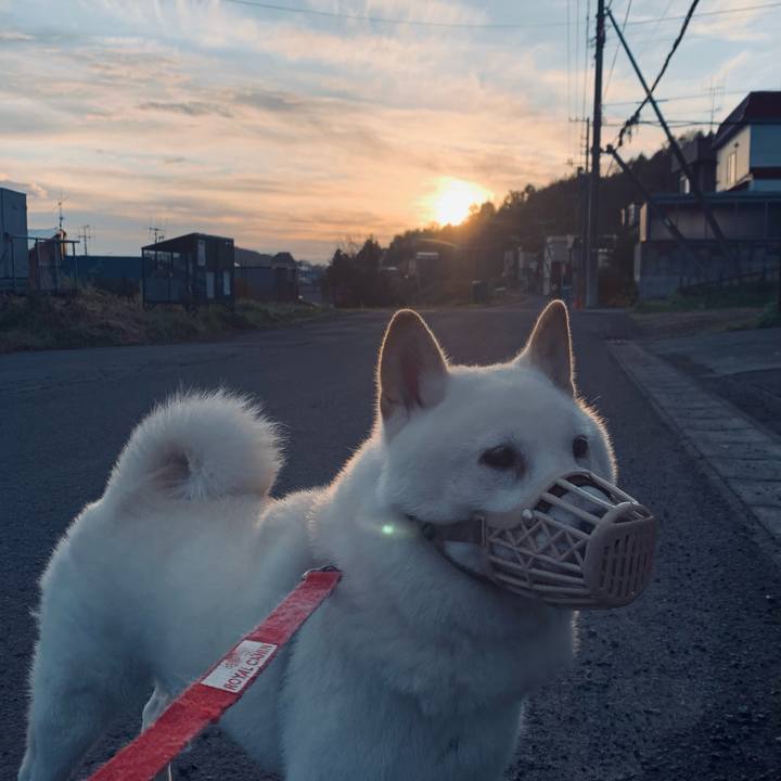 8b086993 fa5f 4575 a702 f239f08eced9 1603838762100