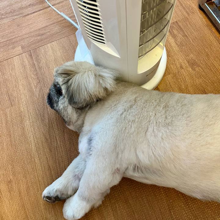 8b086aaa 1276 4dbc a2dd 34b3d0784699 1753490582333