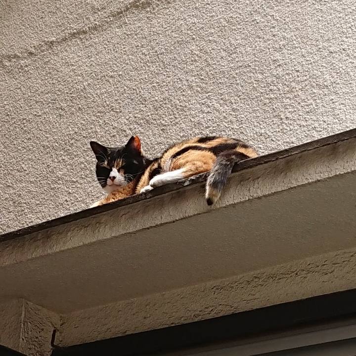 8b08742a 3a26 4a13 bce1 2a28d66f2b67 1624675931106