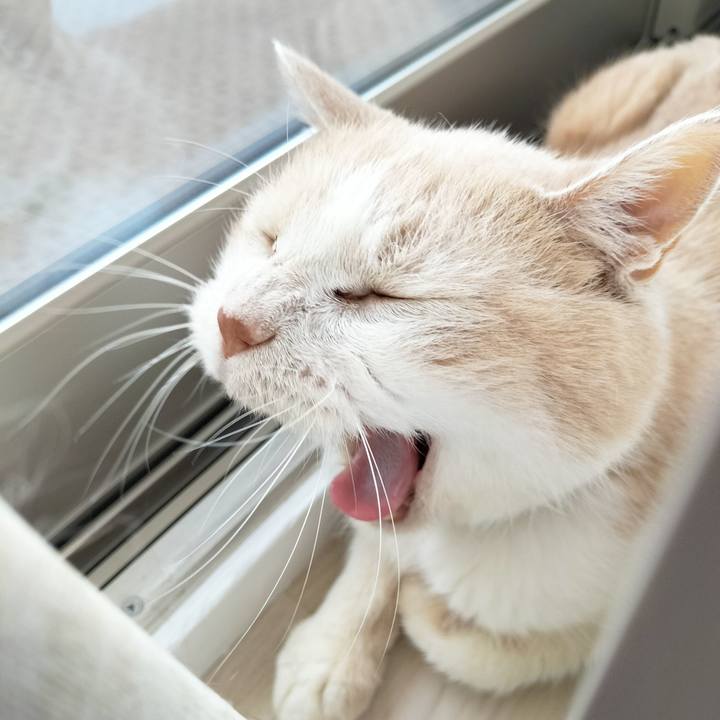 8b089e3c 0796 435a 9b95 88990eae8f09 1690065609991