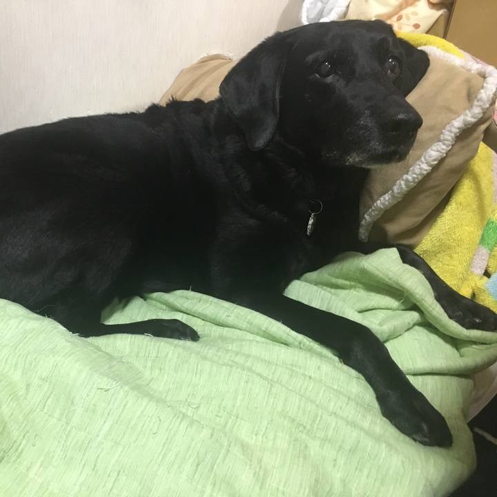 8b08bcad cd2d 4238 b70d b3e16f6d4866 1577320072554