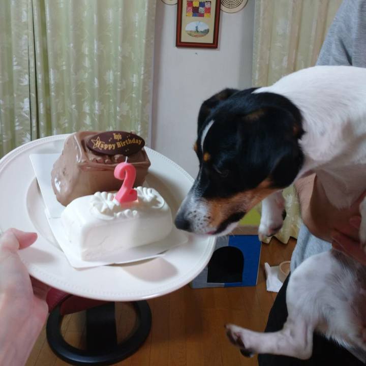 8b08e563 ef85 4026 9741 07c35dfd15a8 1566043786202