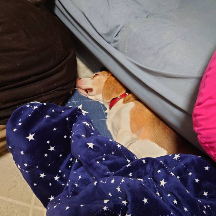 8b092c2f 5d00 4fa9 a56f 68473c85db2a 1759759776202