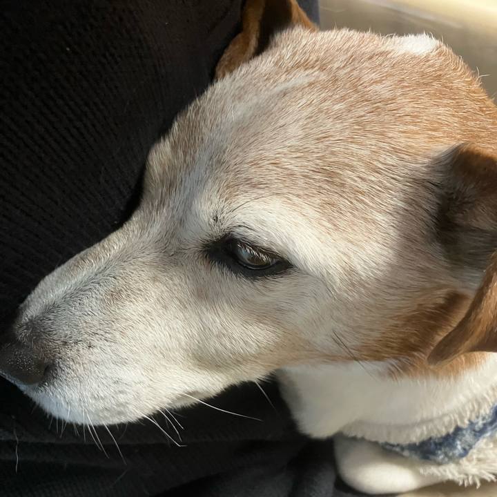 8b093f89 0472 4387 80a1 a4d088bb0553 1768004373374