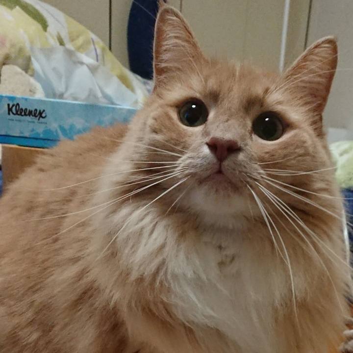 8b094487 9ec7 41bf a977 c9366e09b24c 1542125336536