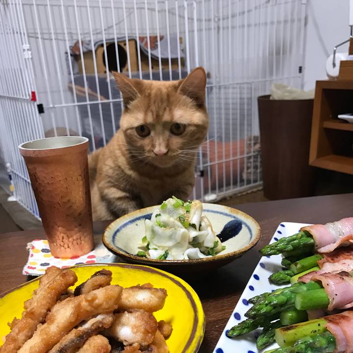 8b096157 d71c 4f03 bba3 40e4b610f6db 1525520916659