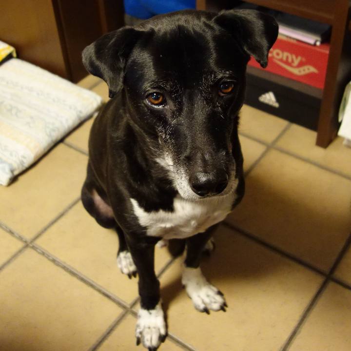 8b098402 04a3 4ae2 a84d a43e8883f907 1730418729645