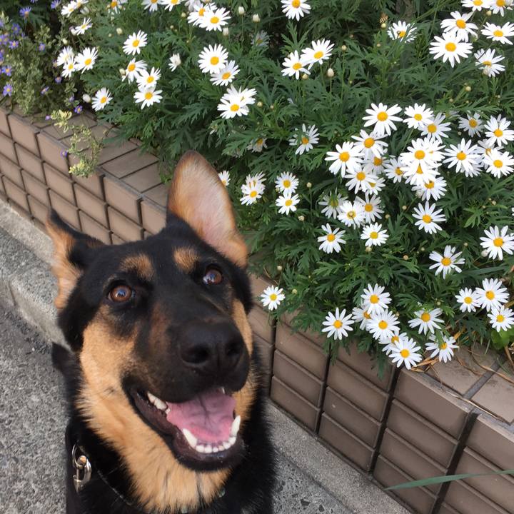 8b099ecf a030 4b23 8f58 96ea621169f9 1525473952477