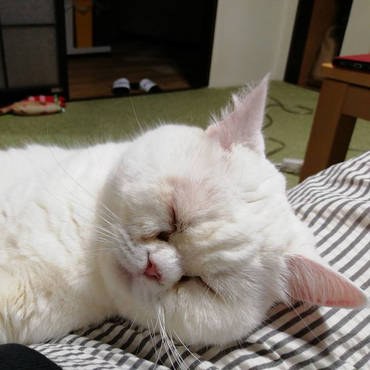 8b09ce5c 23ae 41d1 9f0d 4c5dd907fd1f 1668256148979