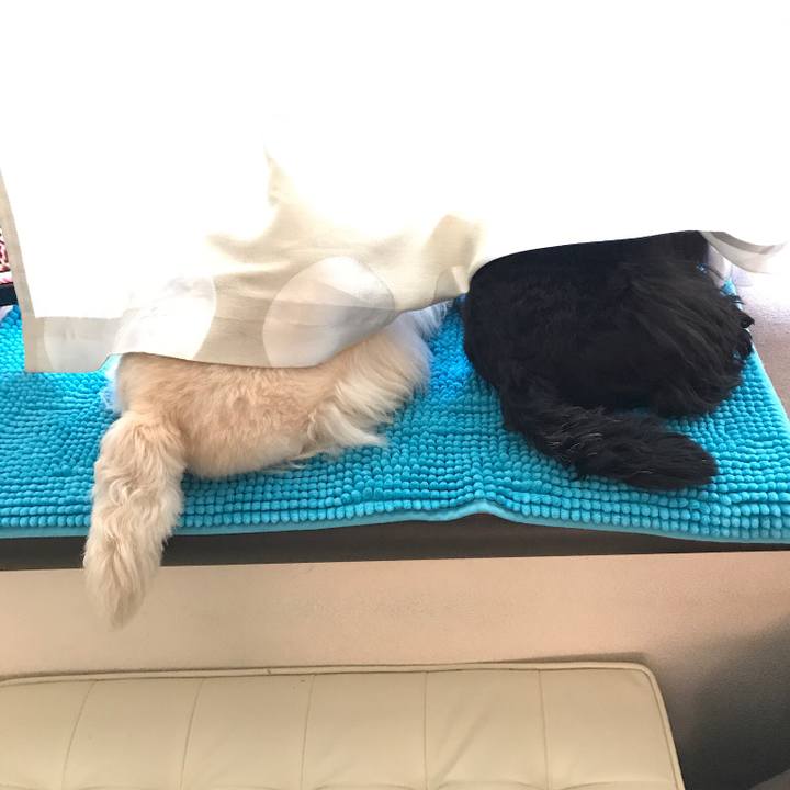 8b09e50b 6264 473d 9e54 40782ae5bd6d 1518485614463