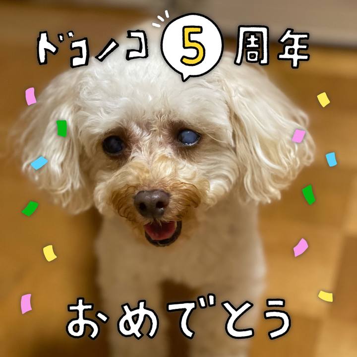 8b09f0db 4f8e 406e bd52 7589a9c4c217 1623148135276