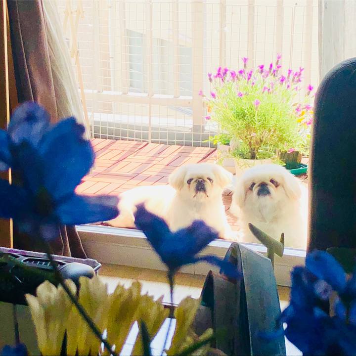 8b0a23f9 af1e 40a1 a9b3 6fdeb71eaf78 1554519773181