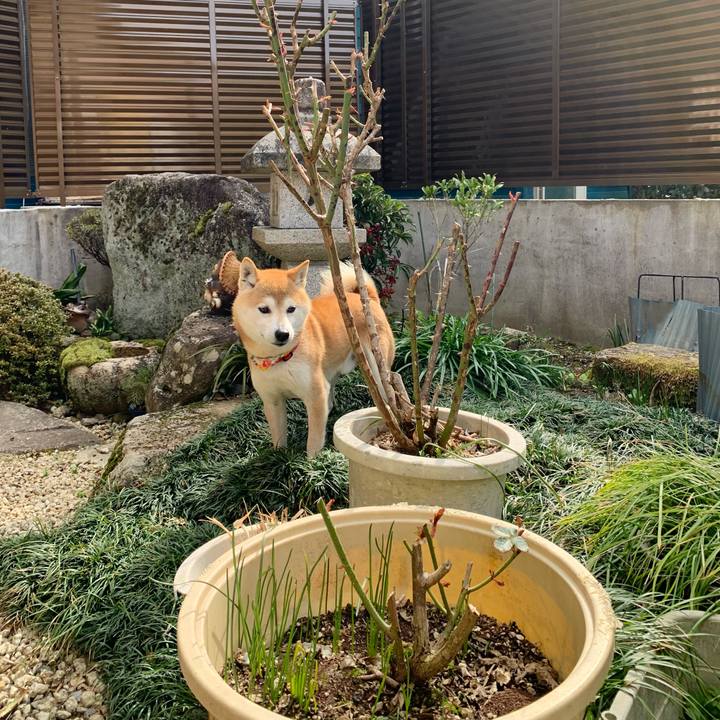 8b0a4ac5 41aa 42e1 a47b 124580e0ea2e 1615719771408