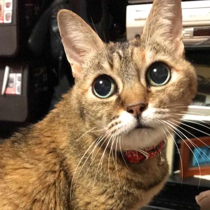 8b0a6233 93a1 4d60 a3ff 691a02aa0ba2 1509037543338