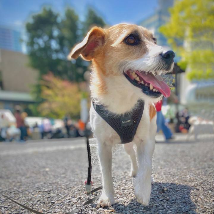 8b0a71a6 5b31 4f99 8564 8328db8d9ef4 1649514552063