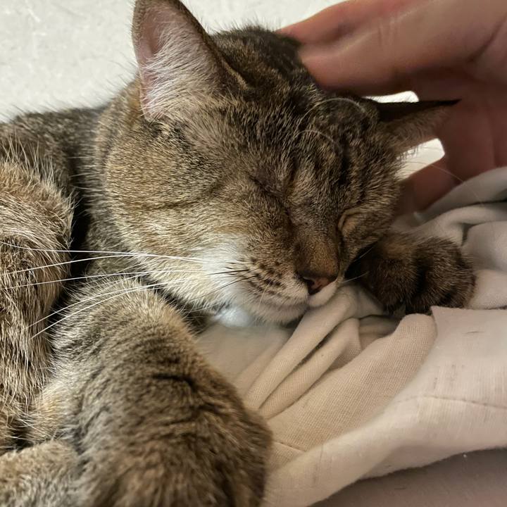 8b0a8c20 8fc8 4f51 81a5 55f17f0b8f76 1633085351356