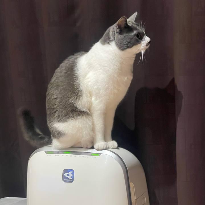 8b0ab3a5 7c13 427a 9163 9605a7c255e3 1654079149008