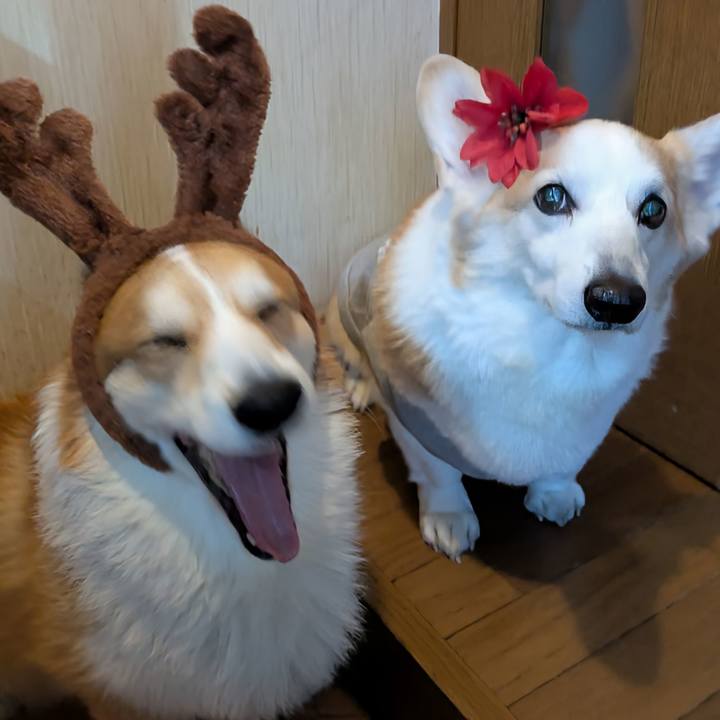 8b0ad074 1454 4c8b ba17 2425f861c170 1766545642418